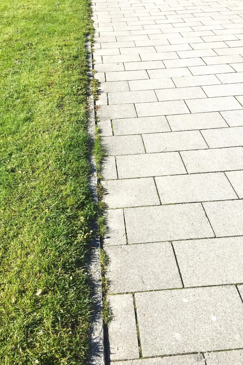 Garden Lab kerttervezés