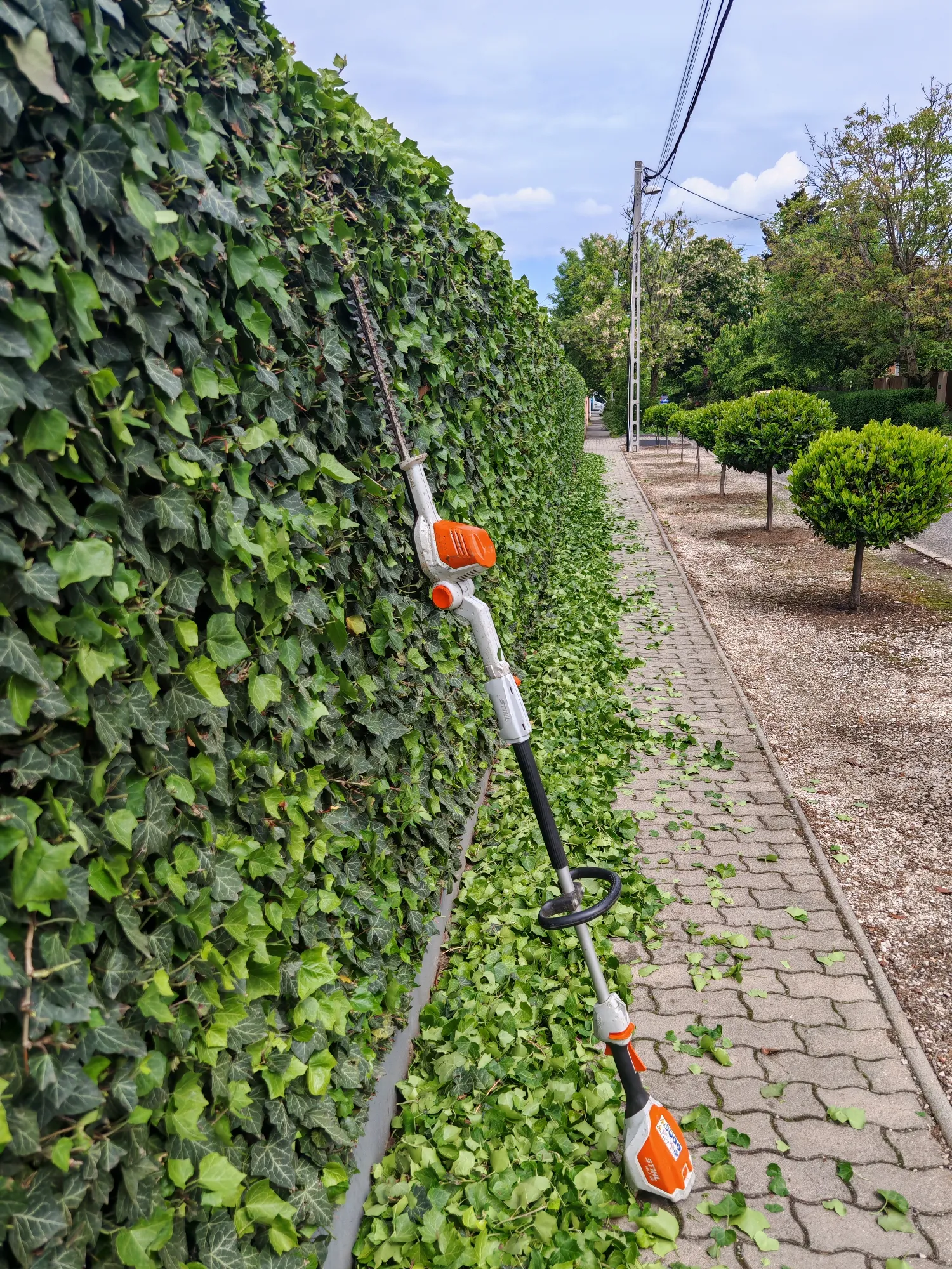 Garden Lab kerttervezés